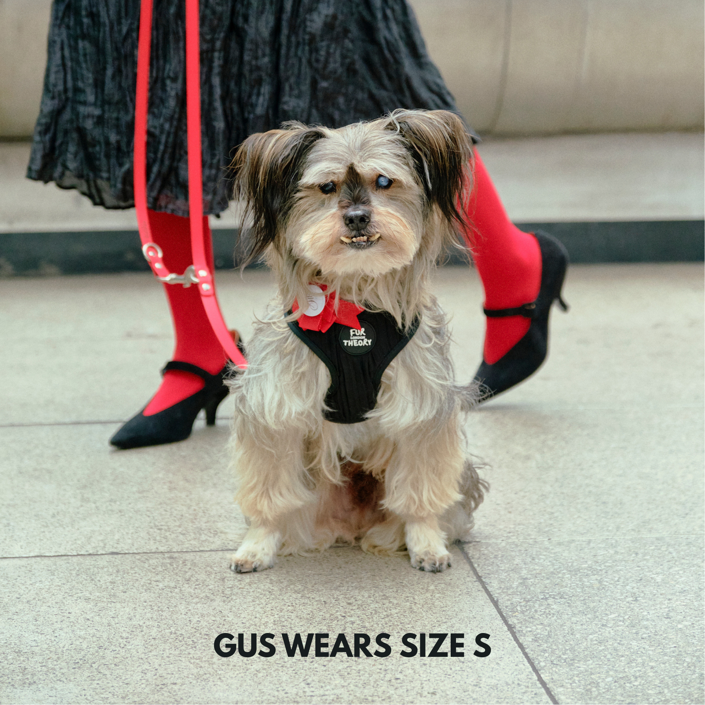 Black Pleated Adjustable Harness