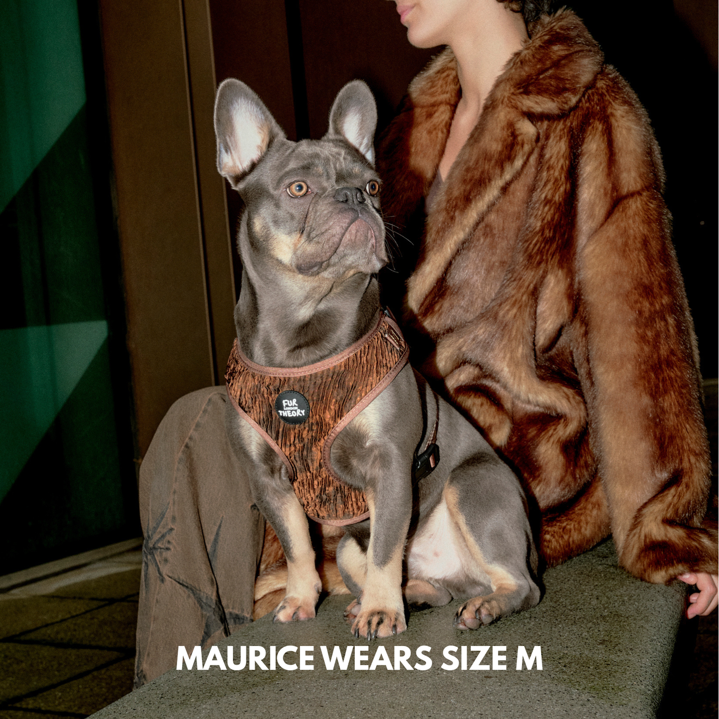 Brown Pleated Adjustable Harness